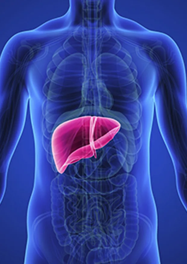 Liver Transplantation