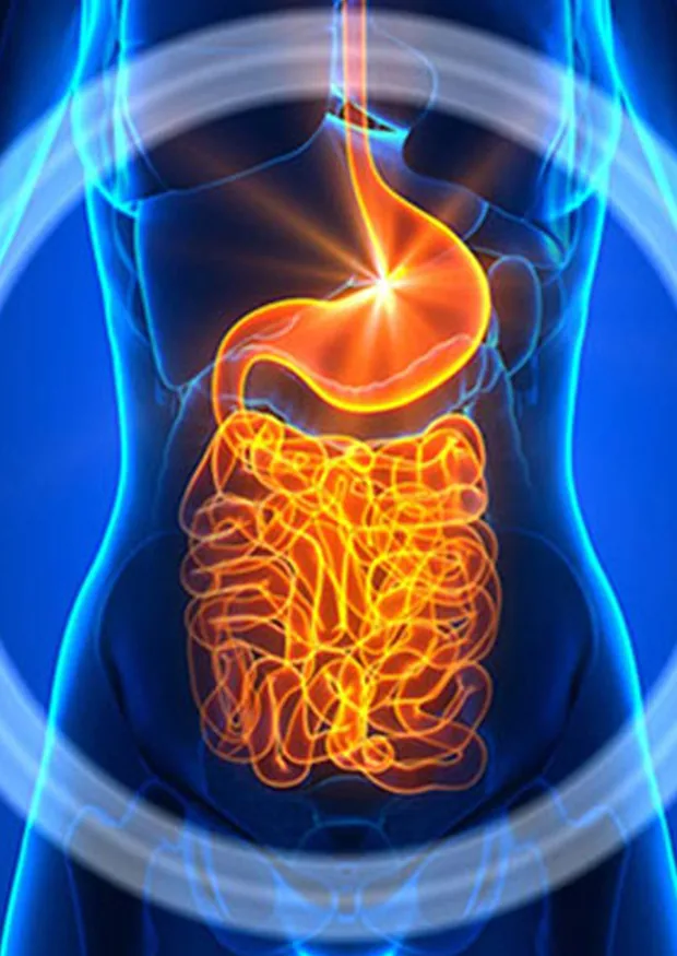Surgeries for GI Malignancies